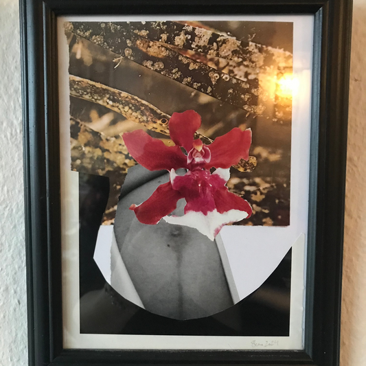 Enceinte/Pregnant