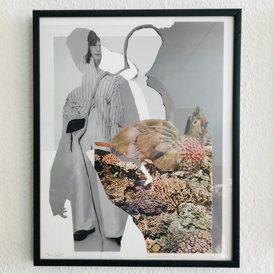 Collage Parakit