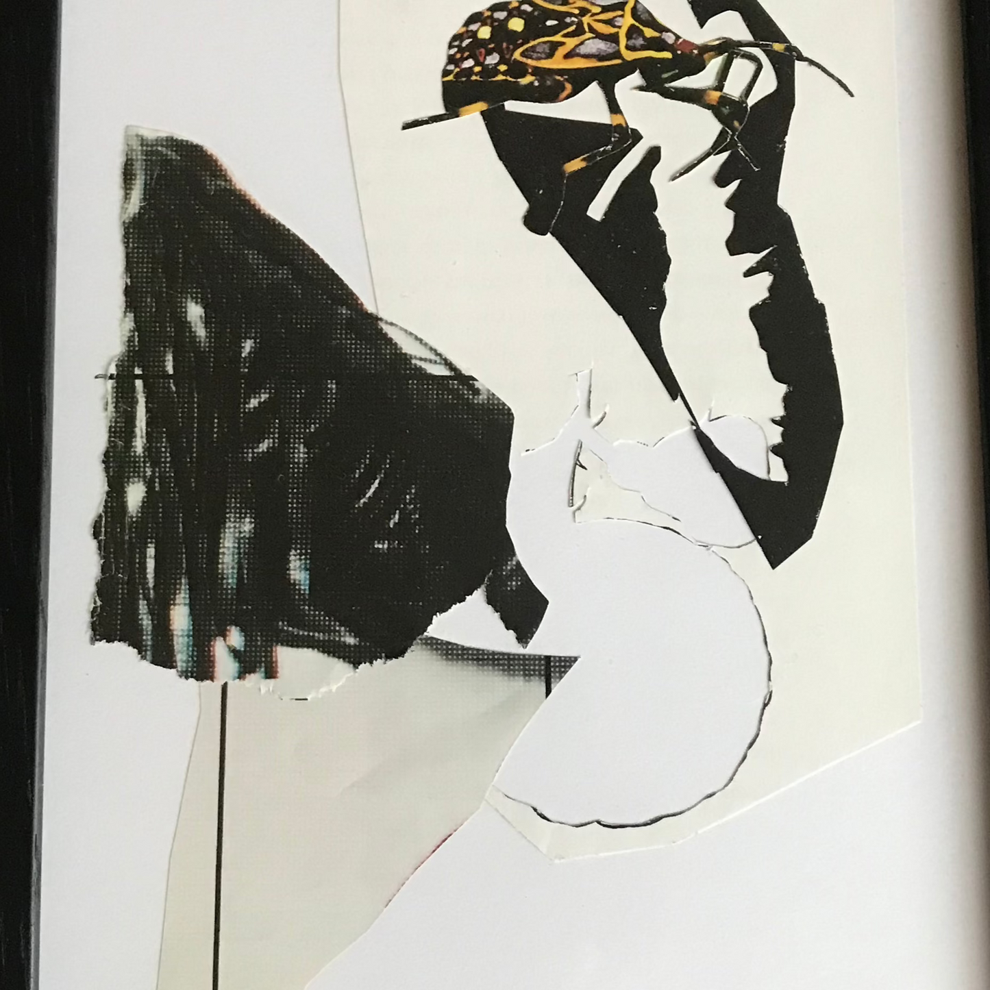 Scarabée/bettle