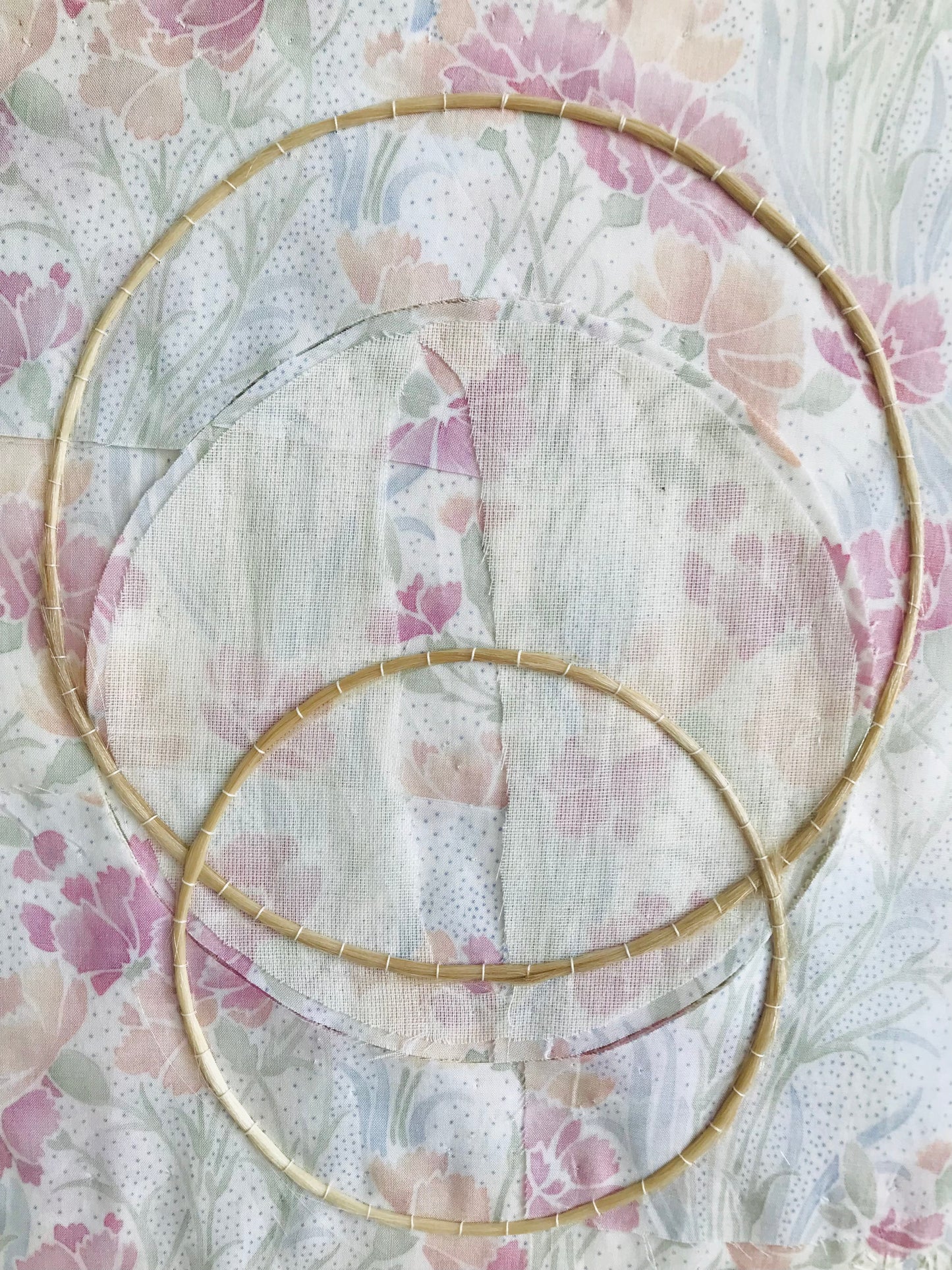 L'asperge absente/The absent asparagus