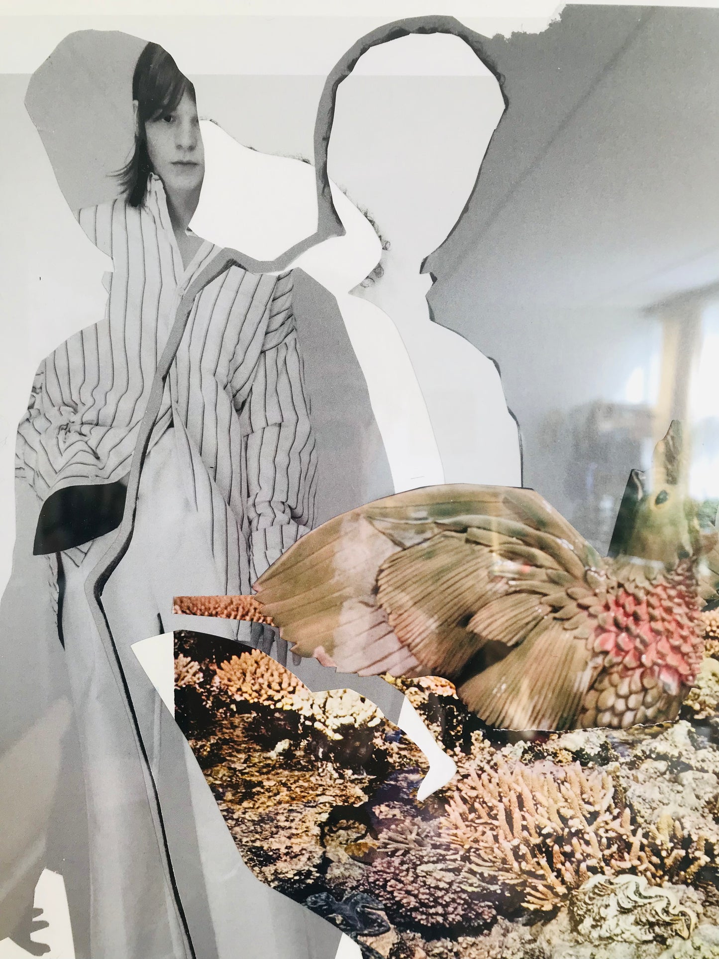 Collage Parakit